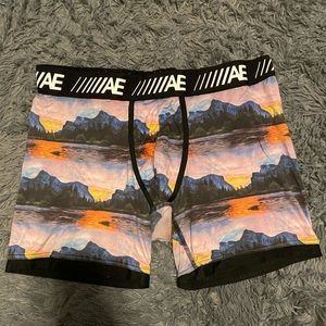 American Eagle Briefs